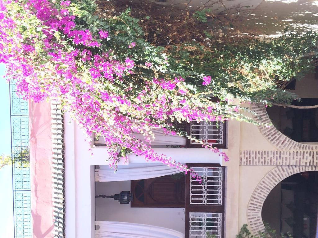 Riad Dar Palmyra Marrakesh Eksteriør bilde