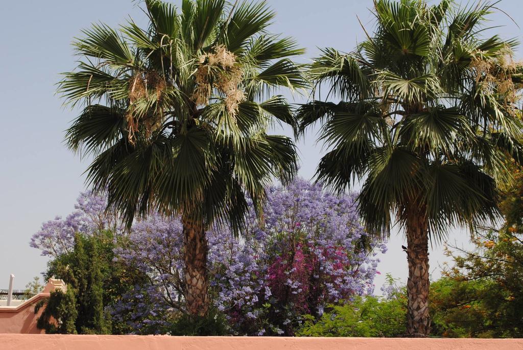 Riad Dar Palmyra Marrakesh Eksteriør bilde